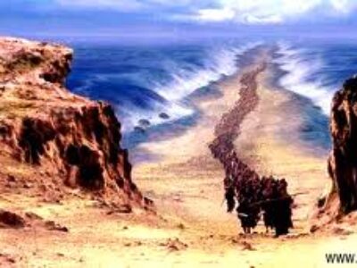 the-exodus
