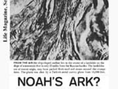 1960 LIFE Magazine Article