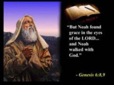 Ross Noahs Ark