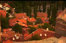 joanna lumley presents noahs ark1