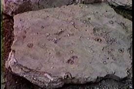 sodom gomorrah revealing gods tr1