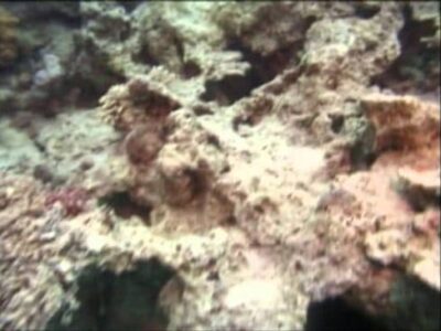Ross Patterson – The Evidence of The Red Sea Crossing