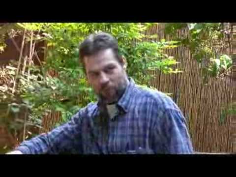 Danny and Ronnie Wyatt back in Israel: The Ark part 2