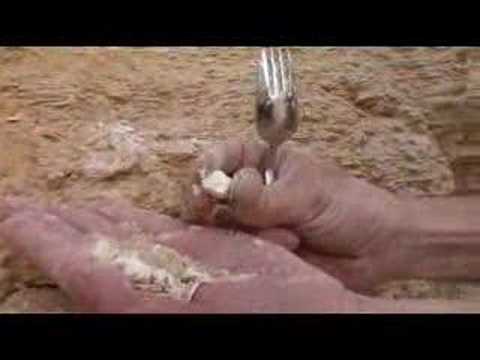 Danny and Ronnie Wyatt back in Israel: Gomorrah