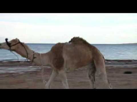 Danny and Ronnie Wyatt EXODUS/SAUDI ARABIA part 1