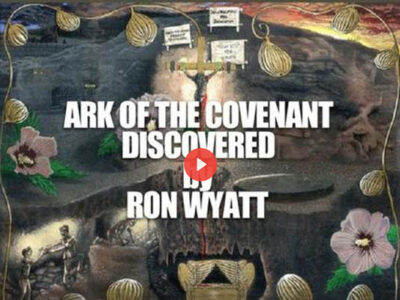 aoc-discovered