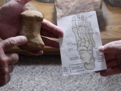 Archaeological Finding- Noah’s ark