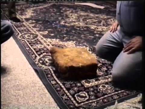 Older video of the Wyatt Archaeological Museum