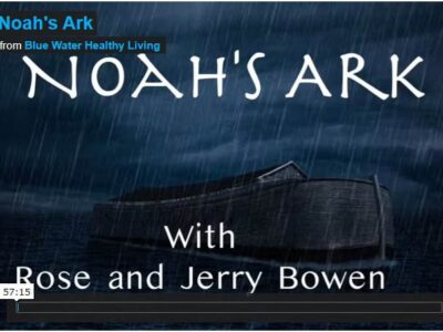 michigan-noahs-ark