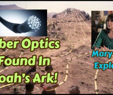 Fiber Optics Found Inside Noah’s Ark