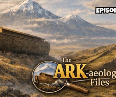 The Ark-aeology Files #3